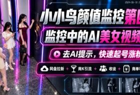 小小鸟颜值监控第四期,监控中的AI美女视频教学,去AI提示,快速起号涨粉,网盘拉新+商K引流+收徒+商单等多种收益