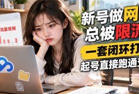 网盘拉新SOP:小白新号过限流
