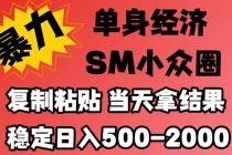 (21205期)26年 最新小众情感赛道,手机操作,十分钟见收益,小白也能当天上手,全程复制粘贴模板即可,稳定日入1k+