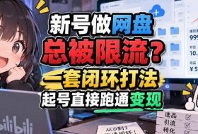 网盘拉新SOP：小白前期宝典，每一步都有明确动作，几千测试出来的打法，全程不限流