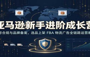 亚马逊新手进阶成长营：账号合规与品牌备案，选品上架 FBA 物流广告全链路运营教学
