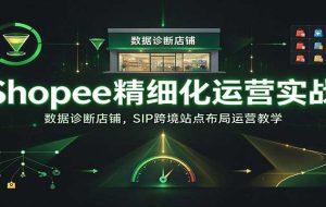 Shopee精细化运营实战：数据诊断店铺，SIP跨境站点布局运营教学【进阶】