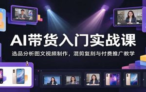 AI带货入门实战课：选品分析图文视频制作，混剪复刻与付费推广教学