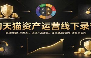 淘天猫资产运营线下录音：抛弃流量红利思维，搭建产品矩阵，规避单品风险打造稳定盈利