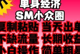 2026最新单身情感经济赛道，全程复制粘贴模板即可，当天出单，稳定日入500-1k，不缺流量，可批量矩阵，手机即可操作！【揭秘】