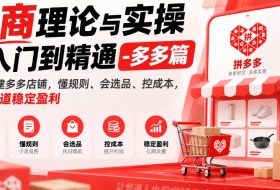 电商理论与实操从入门到精通-多多篇,从零搭建多多店铺,懂规则、会选品、控成本,低价赛道稳定盈利