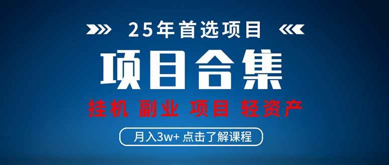（14175期）2025 实操项目合集 自动运行类型 直播类型 轻资产创业类型 课程分享各项目…
