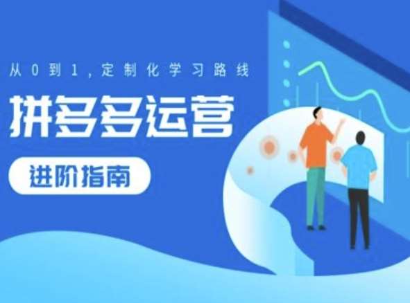 拼多多运营进阶指南,从0到1定制化学习路线 拼多多运营进阶指南,从0到1定制化学习路线