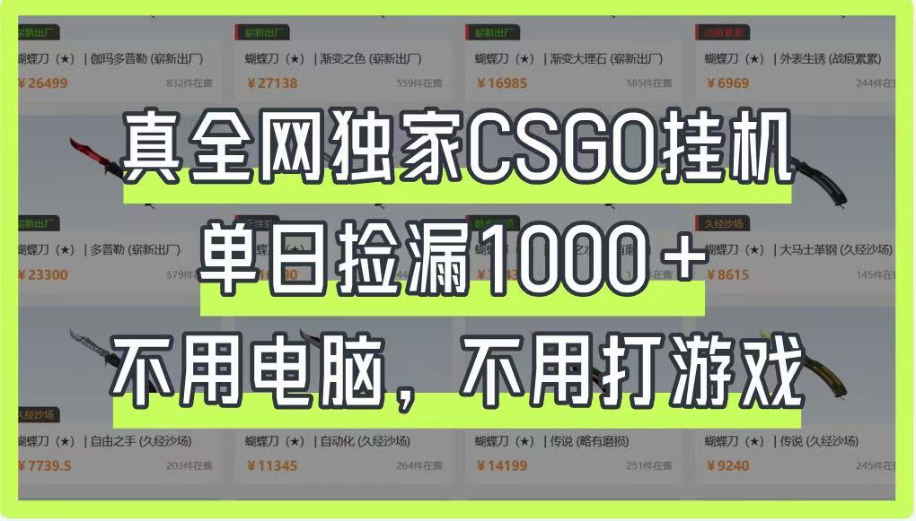 真全网独家CSGO自动运行,单日捡漏1000+,不用电脑,不用养号